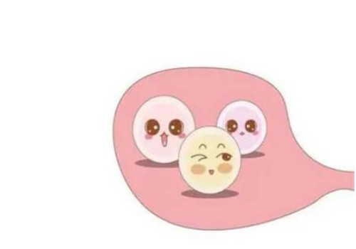 天津代怀生男孩价格：﻿prp治疗内膜薄要多长时间，prp治疗内膜薄多久能同房