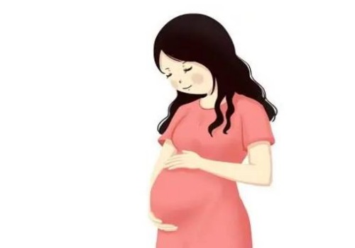 天津代怀公司：﻿试管婴儿总价格是多少,取决于个人身体因素