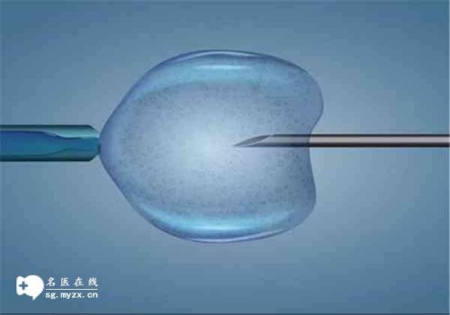 天津专业代怀：﻿免疫性不孕的原因有哪些？免疫性不孕需要多调理